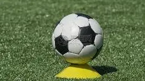 RAYBET雷竞技首页 资讯 122826 xjr